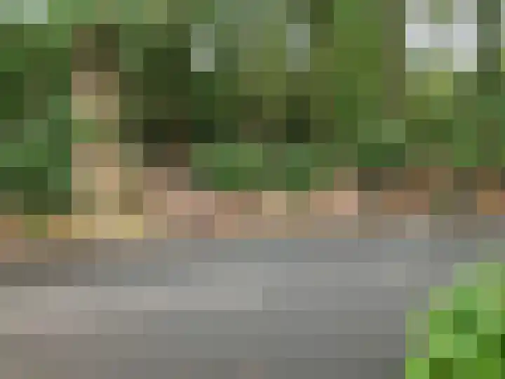 Rode Heikorstlaan 22 Eindhoven thumbnail 46