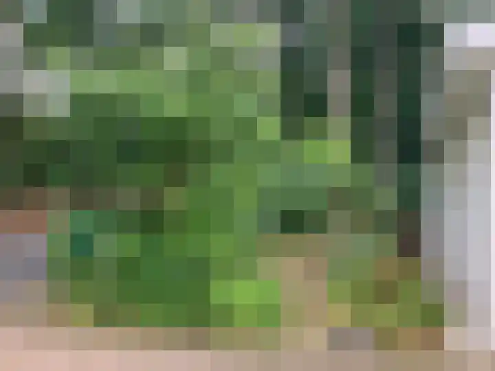 Rode Heikorstlaan 22 Eindhoven thumbnail 47