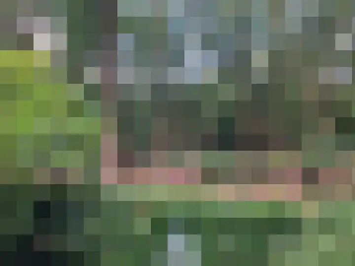 Rode Heikorstlaan 22 Eindhoven thumbnail 49