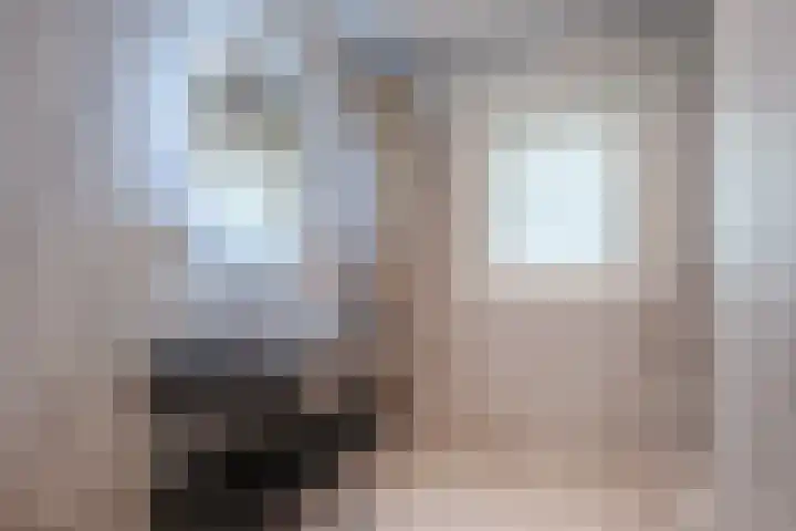 Rode Heikorstlaan 22 Eindhoven thumbnail 5