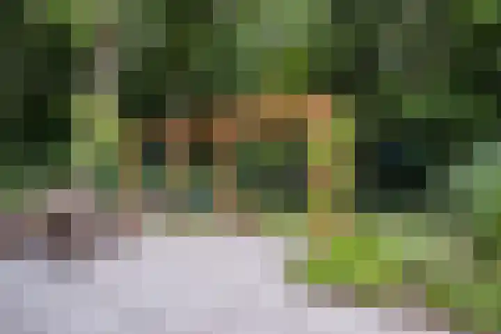 Rode Heikorstlaan 22 Eindhoven thumbnail 6