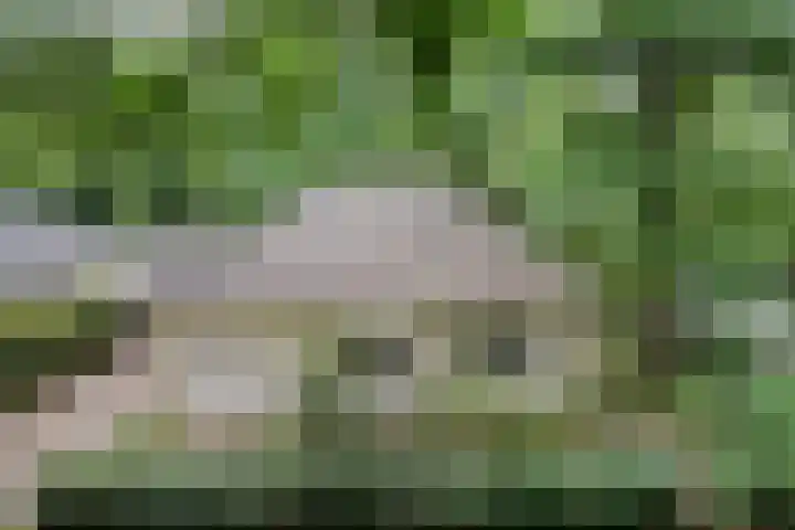 Rode Heikorstlaan 6 Eindhoven thumbnail 10
