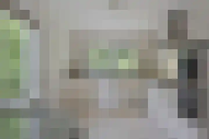 Rode Heikorstlaan 6 Eindhoven thumbnail 17