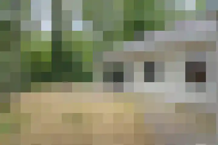 Rode Heikorstlaan 6 Eindhoven thumbnail 30