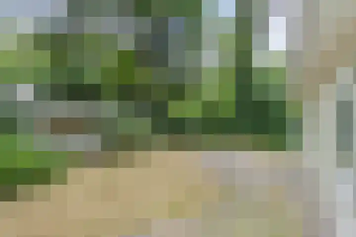 Rode Heikorstlaan 6 Eindhoven thumbnail 31