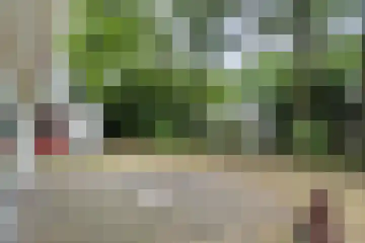 Rode Heikorstlaan 6 Eindhoven thumbnail 32