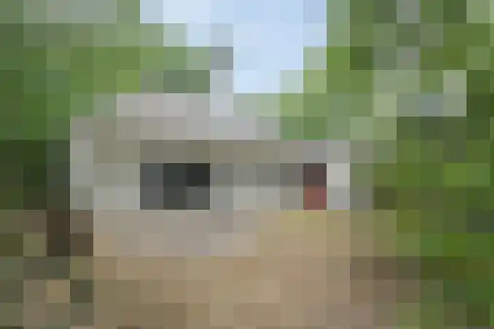 Rode Heikorstlaan 6 Eindhoven thumbnail 33