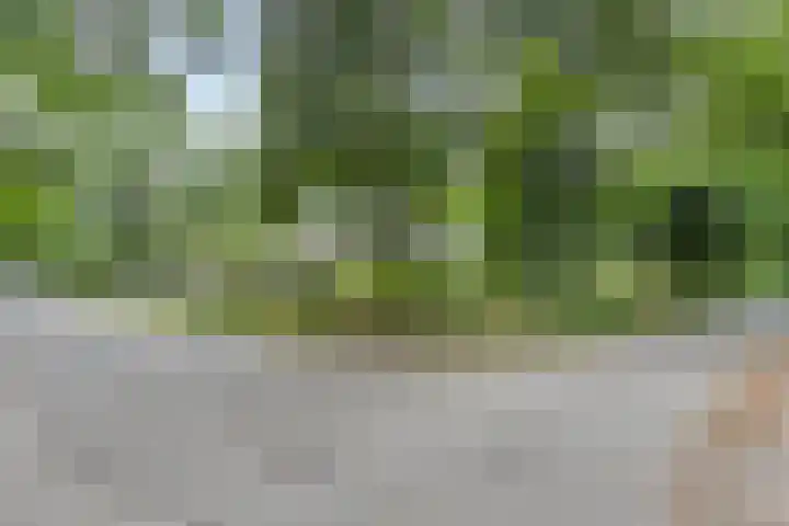 Rode Heikorstlaan 6 Eindhoven thumbnail 34