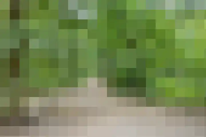 Rode Heikorstlaan 6 Eindhoven thumbnail 35