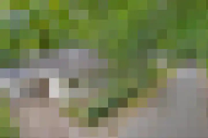 Rode Heikorstlaan 6 Eindhoven thumbnail 5