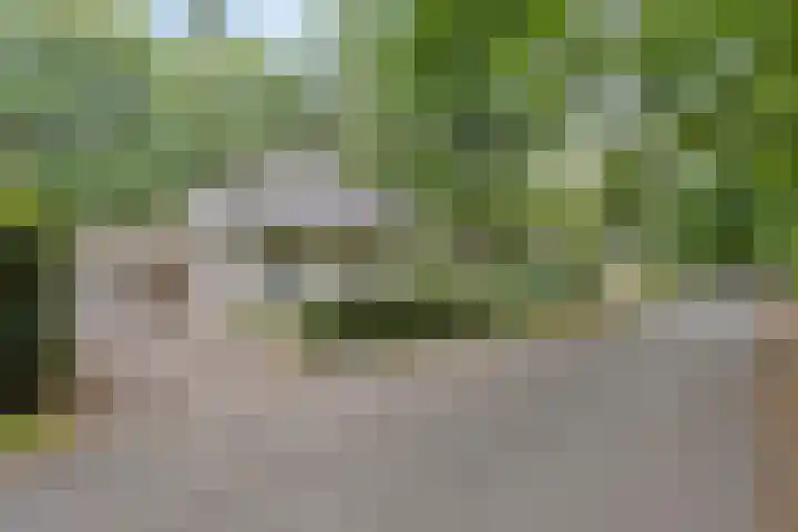 Rode Heikorstlaan 6 Eindhoven thumbnail 6
