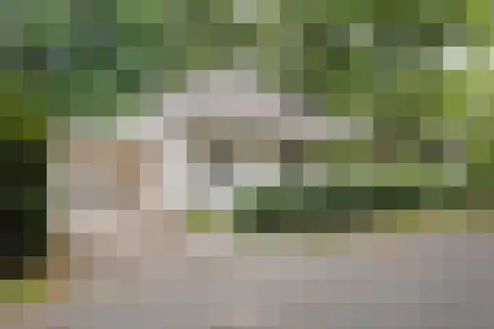 Rode Heikorstlaan 6 Eindhoven thumbnail 7