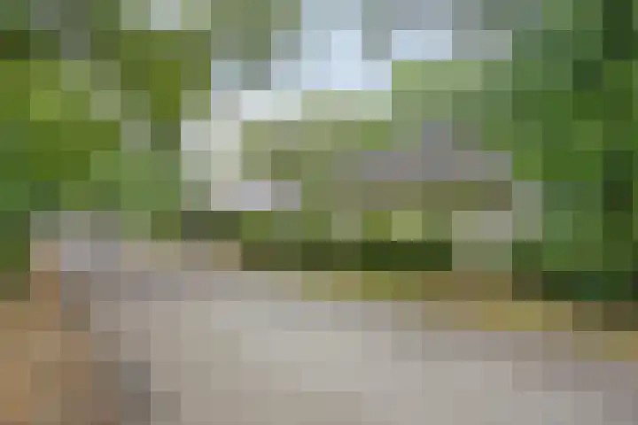 Rode Heikorstlaan 6 Eindhoven thumbnail 8