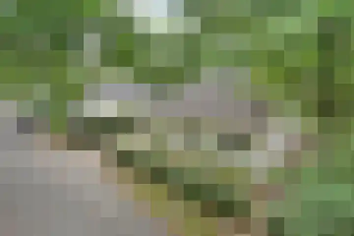 Rode Heikorstlaan 6 Eindhoven thumbnail 9