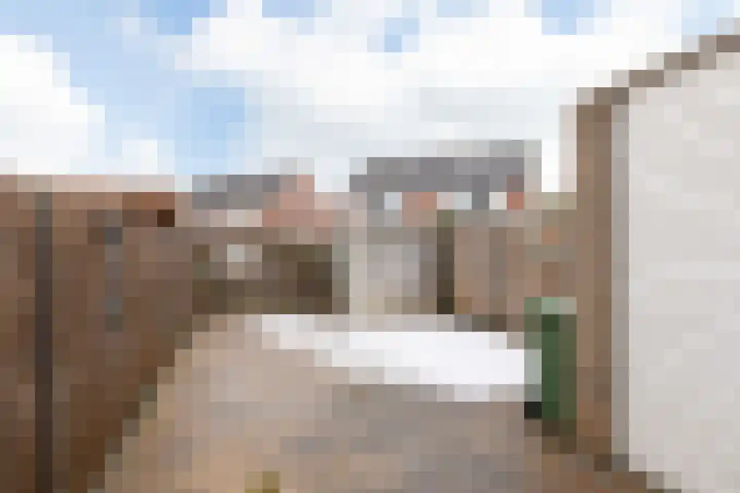Rode Klaver 101 Sneek thumbnail 26