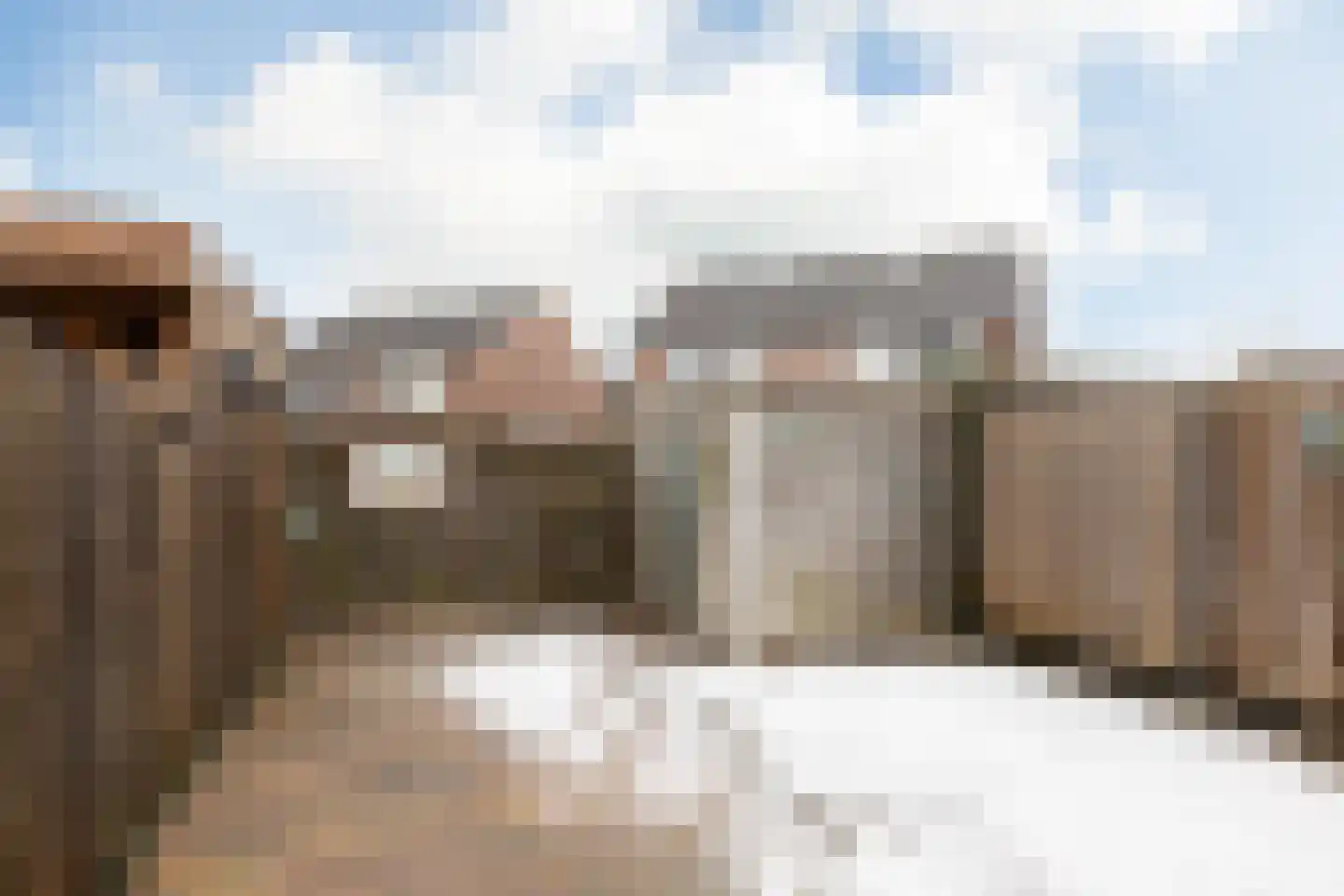 Rode Klaver 101 Sneek thumbnail 27