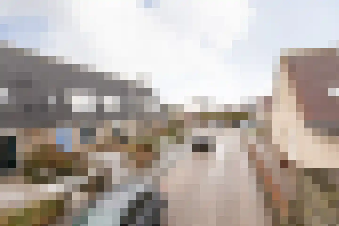 Rode Klaver 101 Sneek thumbnail 32