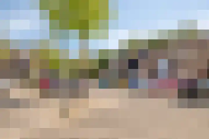 Rode Klaver 19 Rotterdam thumbnail 29