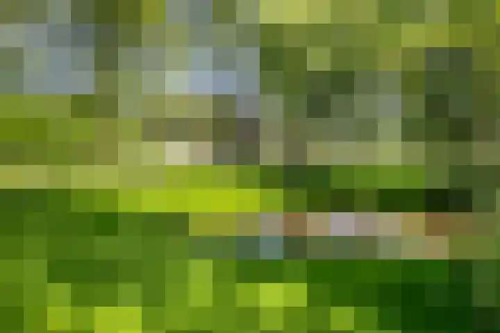 Rode Klaver 19 Rotterdam thumbnail 33