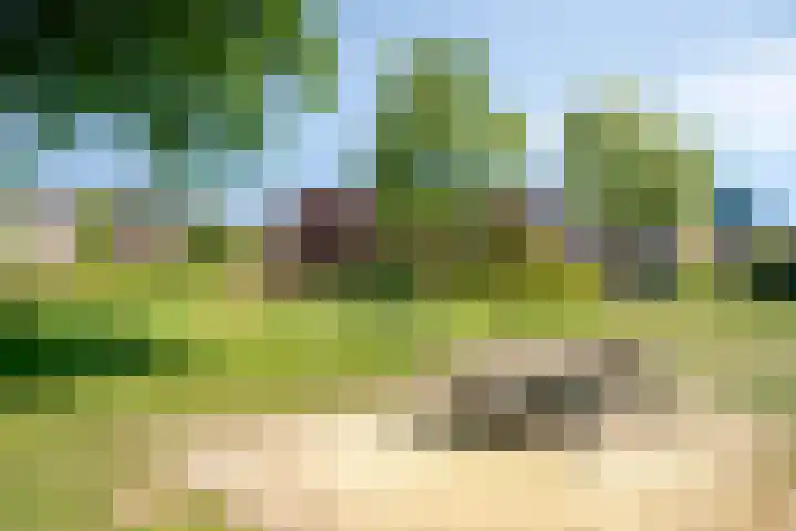 Rode Klaver 19 Rotterdam thumbnail 34