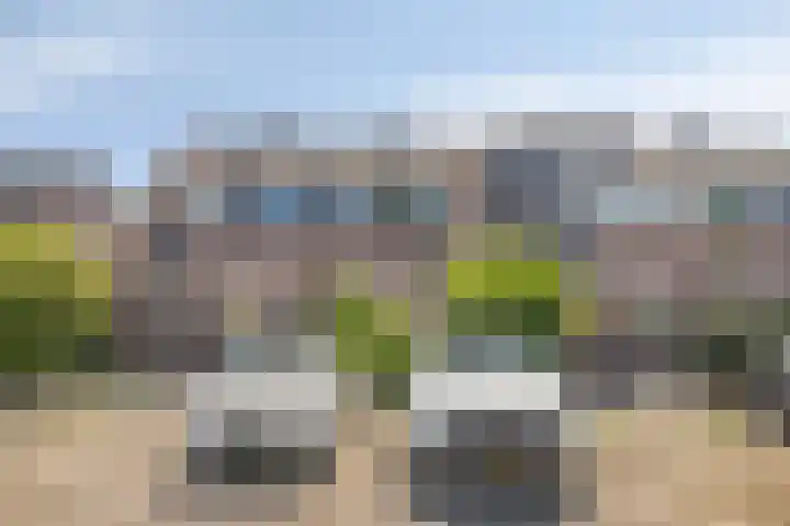 Rode Klaver 19 Rotterdam thumbnail 41