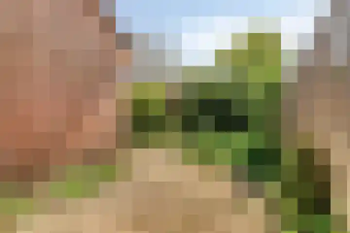 Rode Klaver 19 Rotterdam thumbnail 5