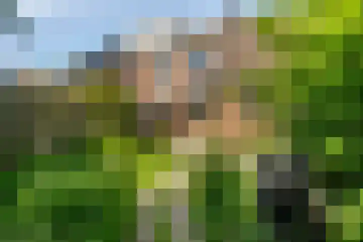 Rode Klaver 19 Rotterdam thumbnail 7