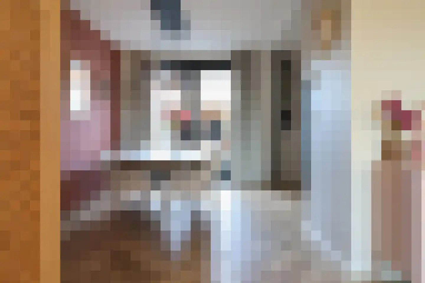 Rode Klaver 21 Sneek thumbnail 20