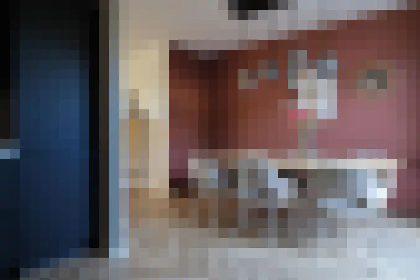 Rode Klaver 21 Sneek thumbnail 26