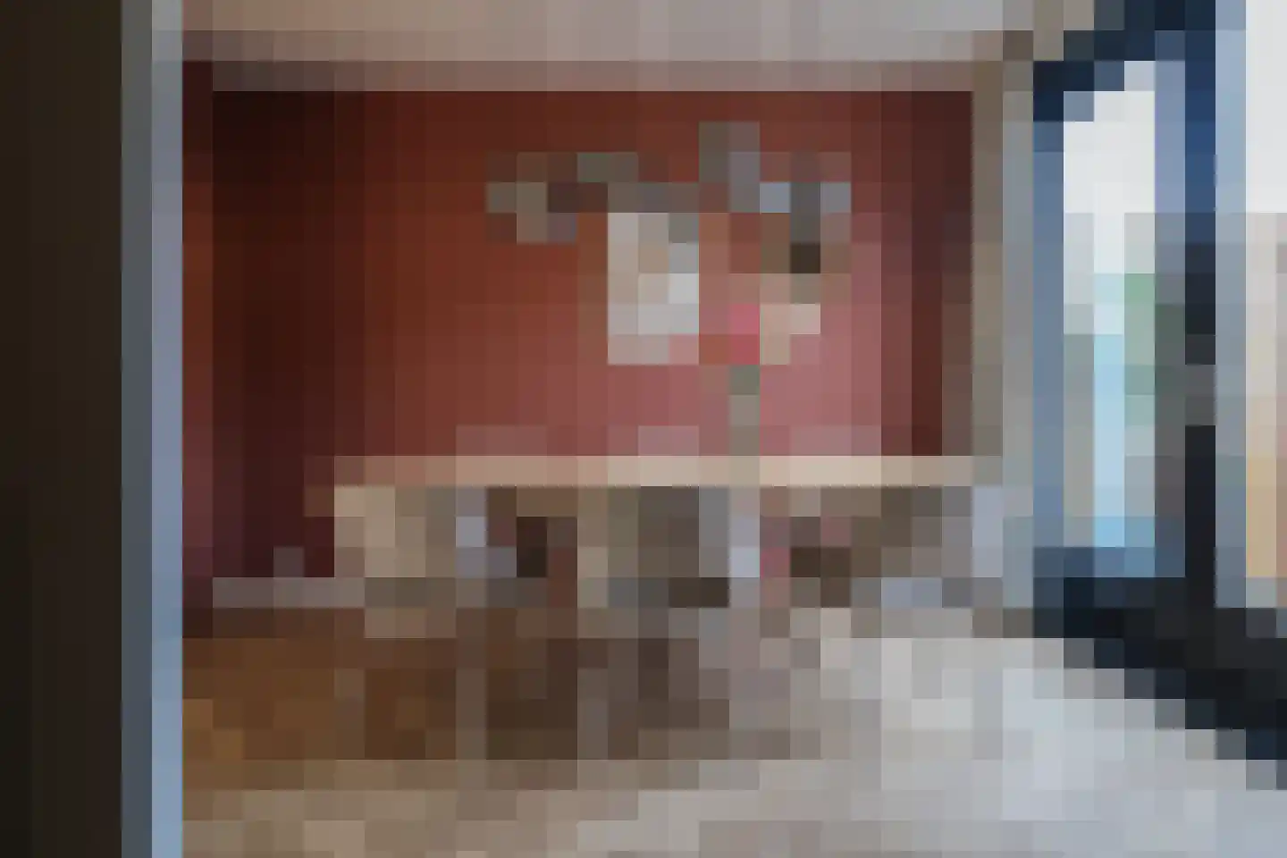 Rode Klaver 21 Sneek thumbnail 27