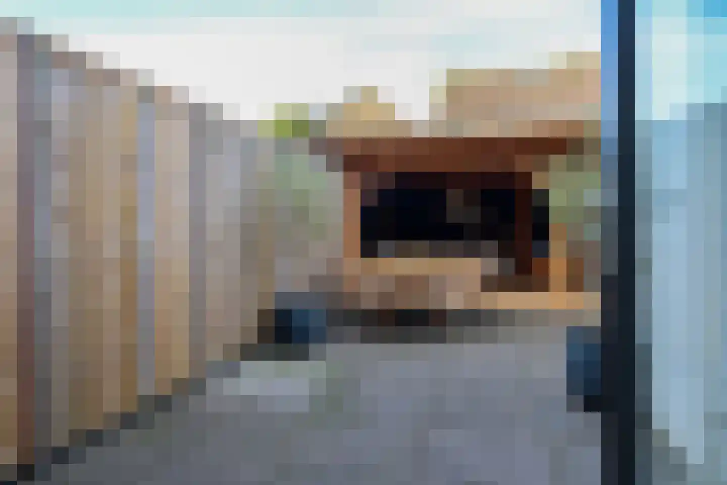 Rode Klaver 21 Sneek thumbnail 28