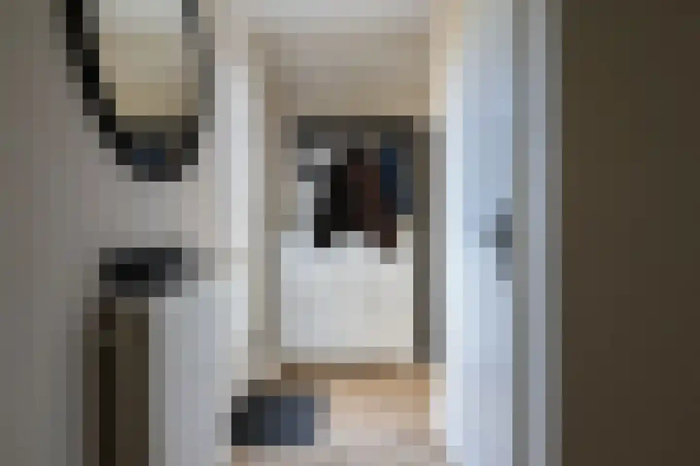 Rode Klaver 21 Sneek thumbnail 31