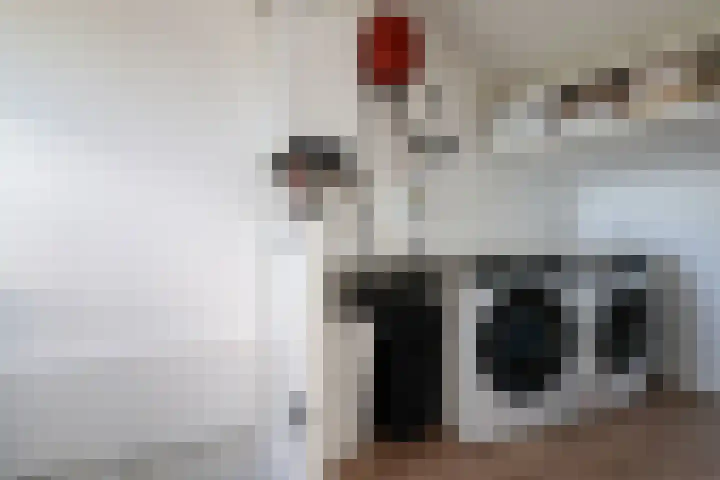 Rode Klaver 21 Sneek thumbnail 45
