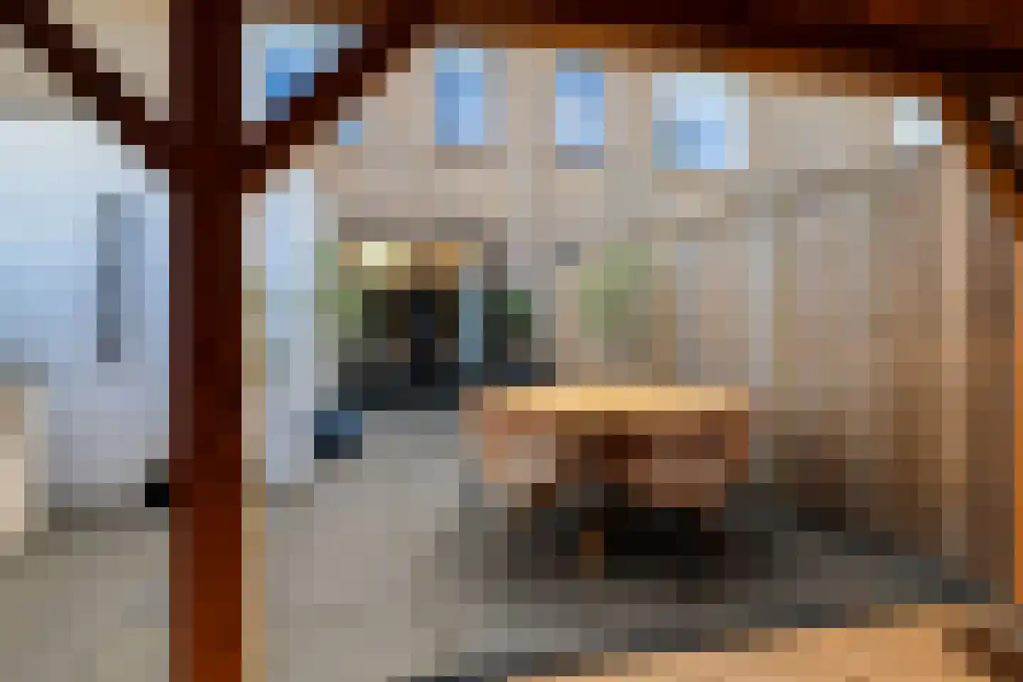 Rode Klaver 21 Sneek thumbnail 60