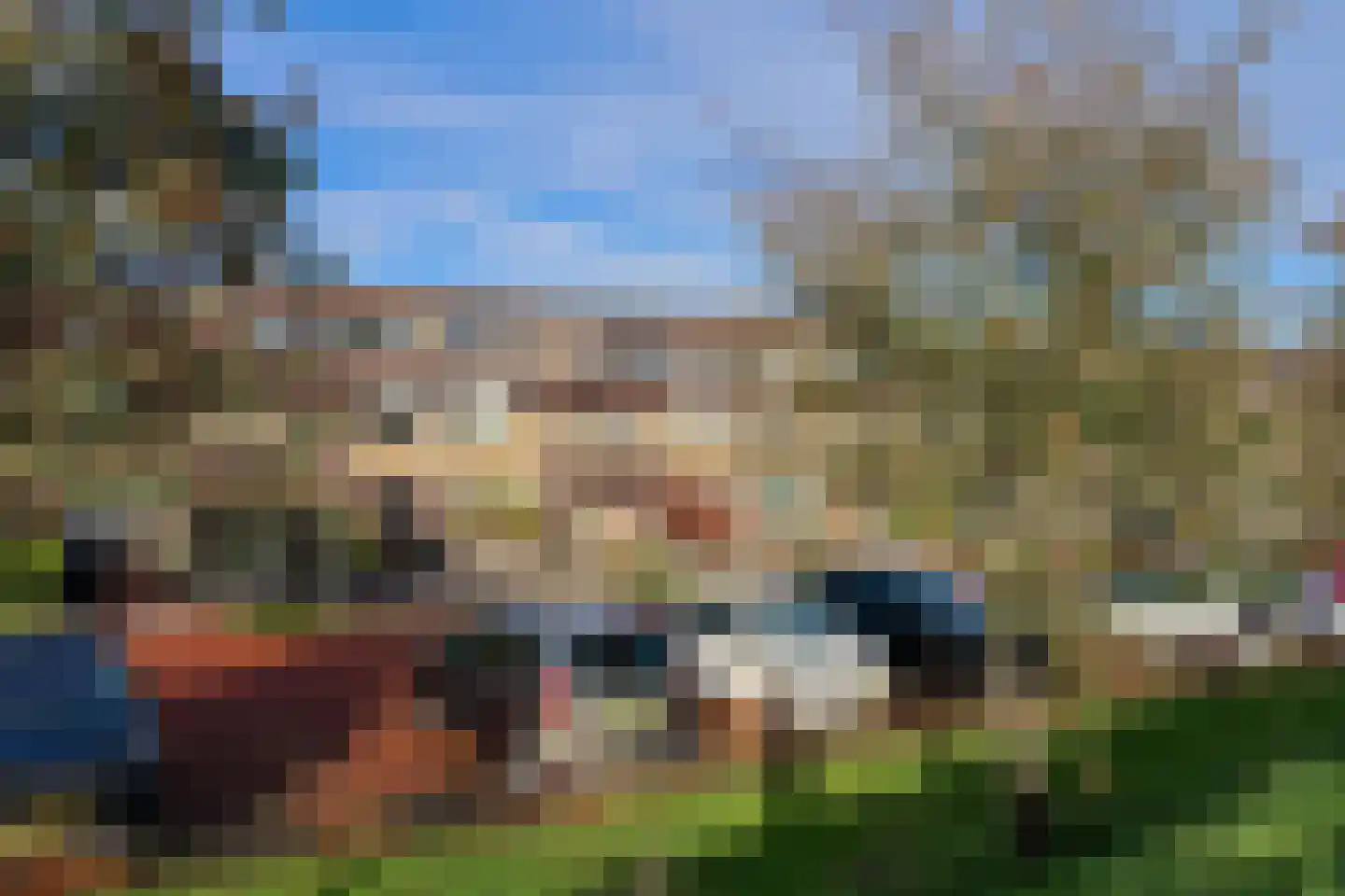 Rode Klaver 21 Sneek thumbnail 65