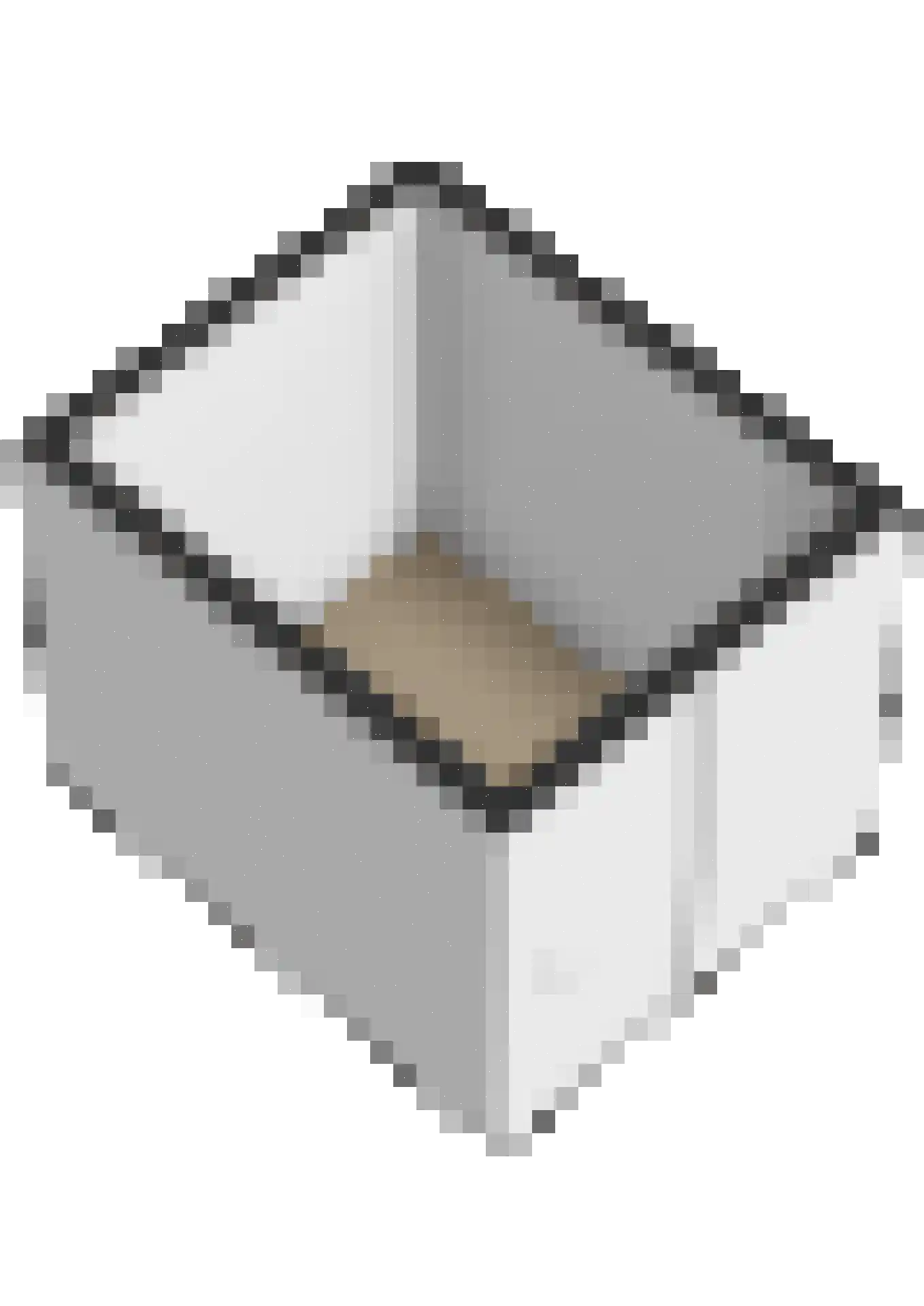 Rode Klaver 21 Sneek thumbnail 73