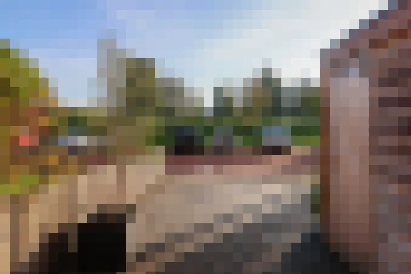 Rode Klaver 21 Sneek thumbnail 8