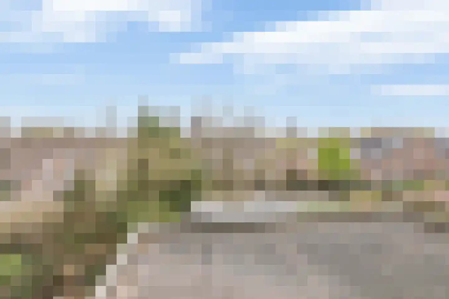 Rode Klaver 23 Rotterdam thumbnail 37