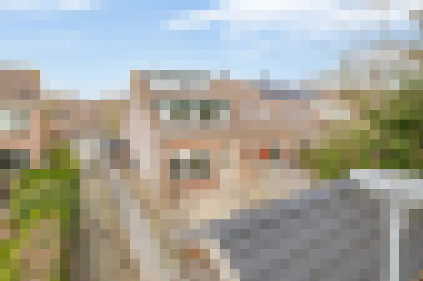 Rode Klaver 23 Rotterdam thumbnail 4