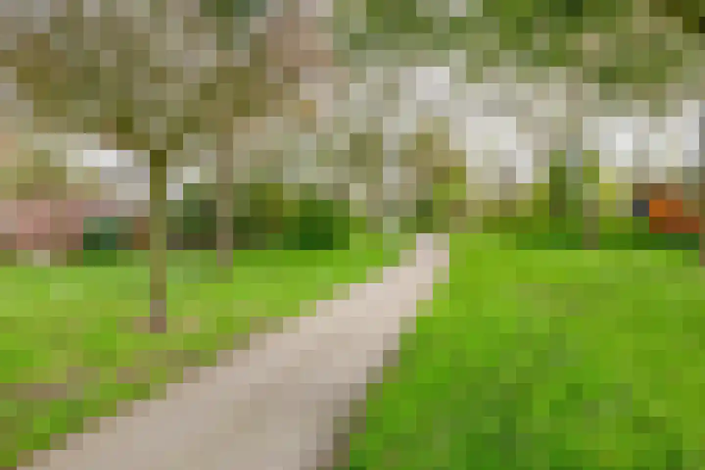 Rode Klaver 23 Rotterdam thumbnail 5