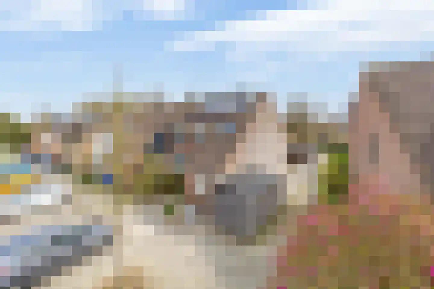 Rode Klaver 23 Rotterdam thumbnail 7