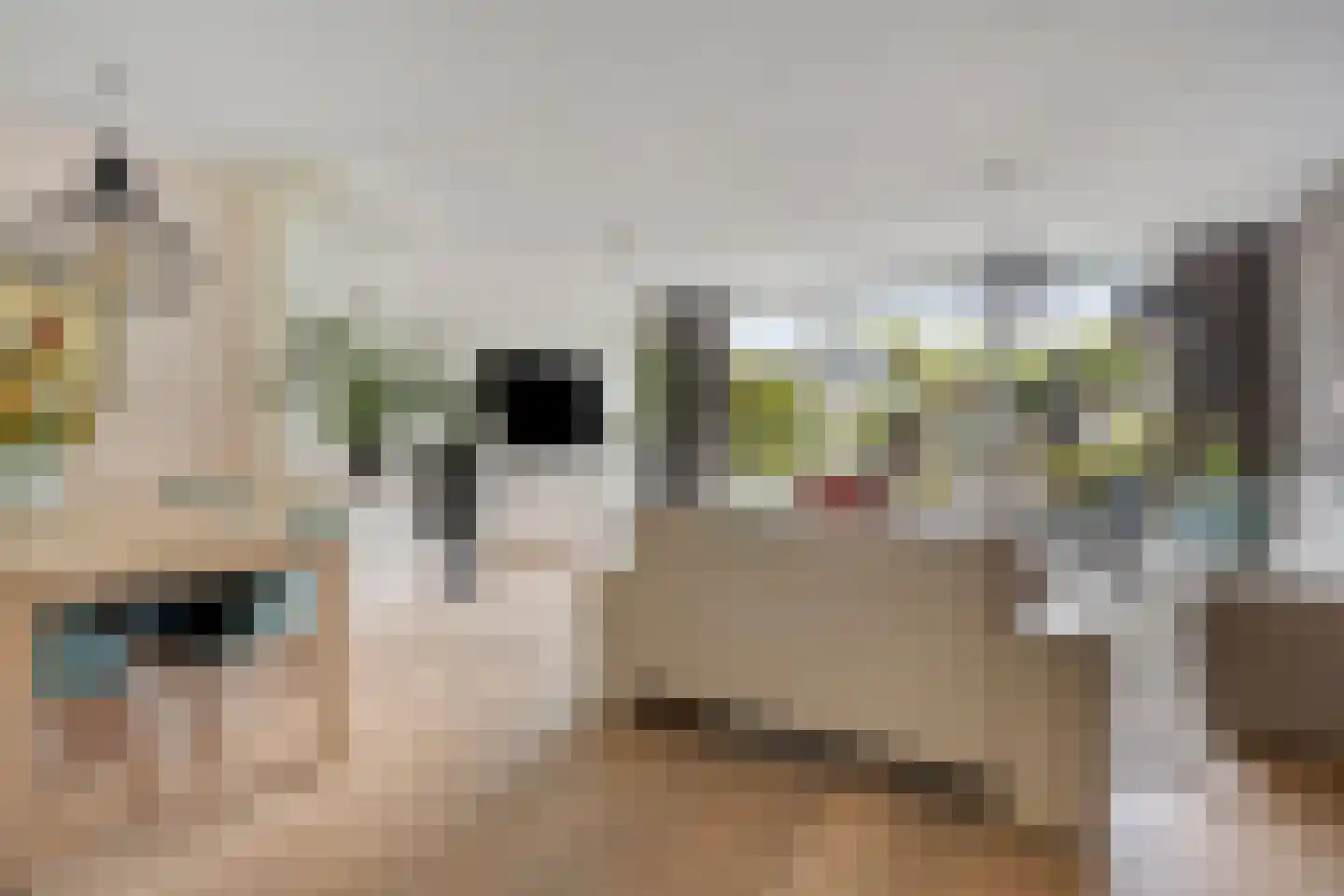 Rode Klaver 3 Uithoorn thumbnail 11