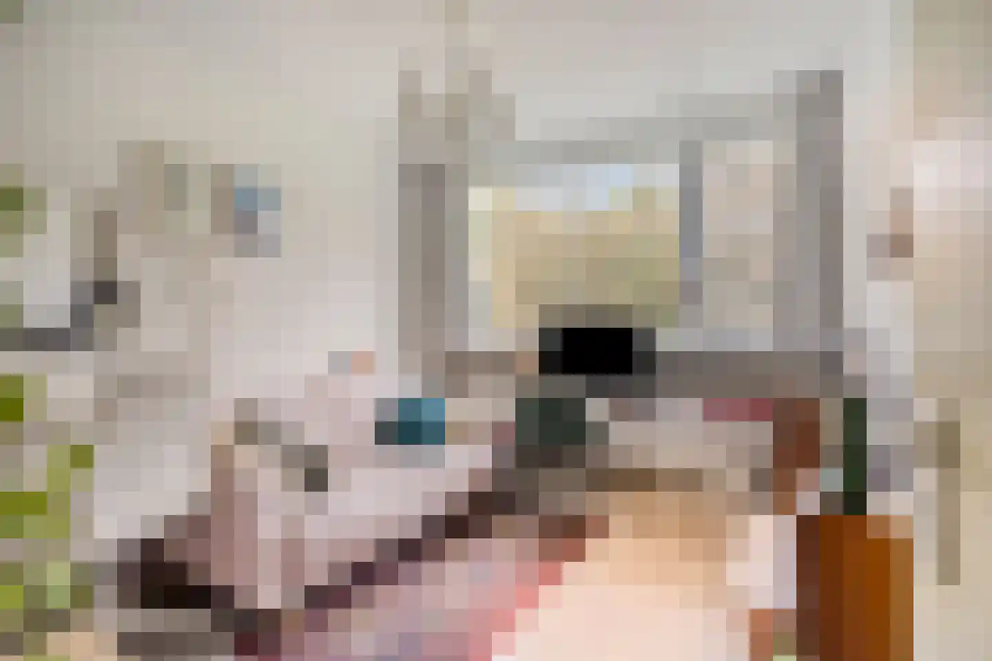 Rode Klaver 3 Uithoorn thumbnail 20