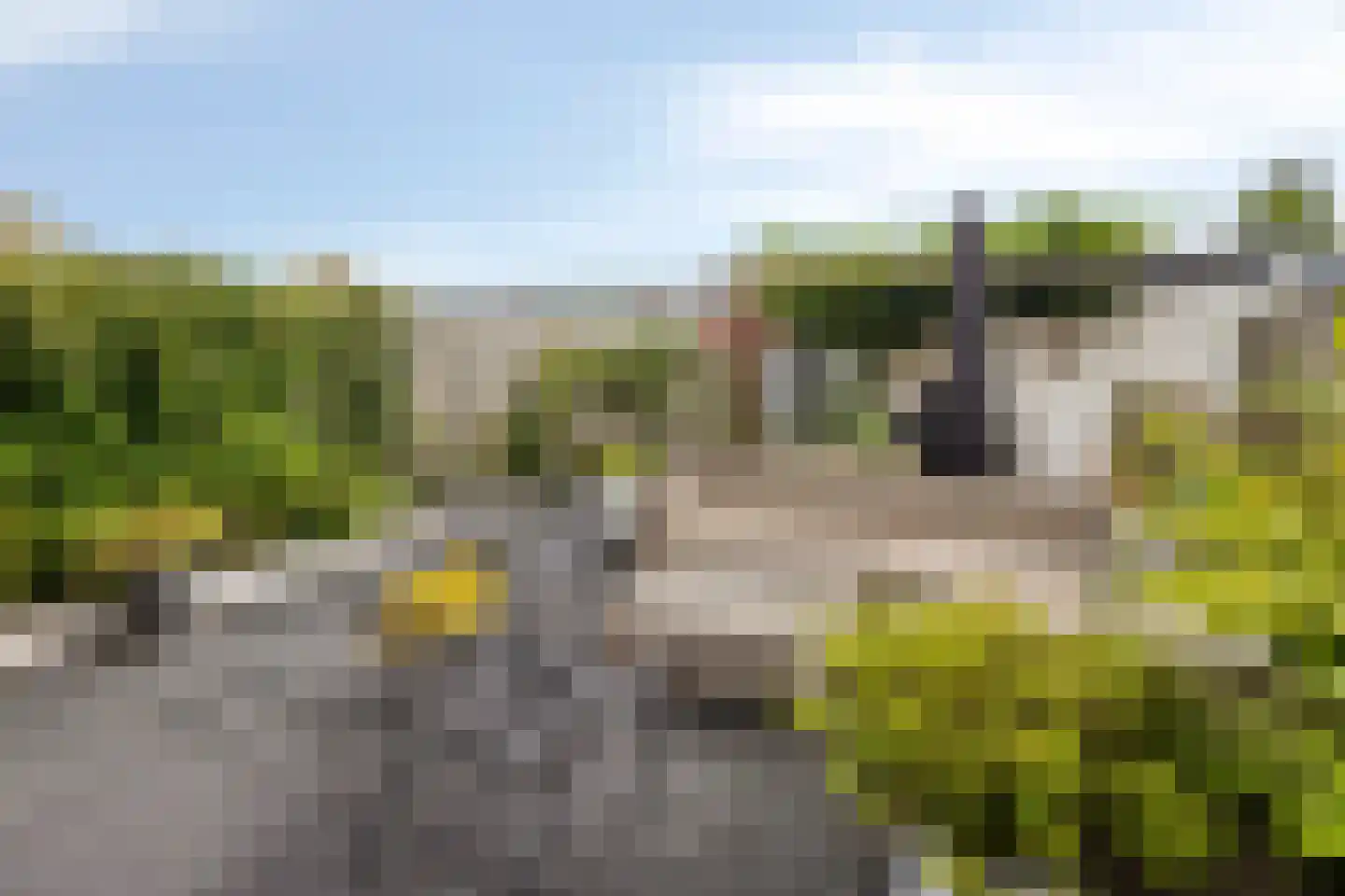 Rode Klaver 3 Uithoorn thumbnail 22