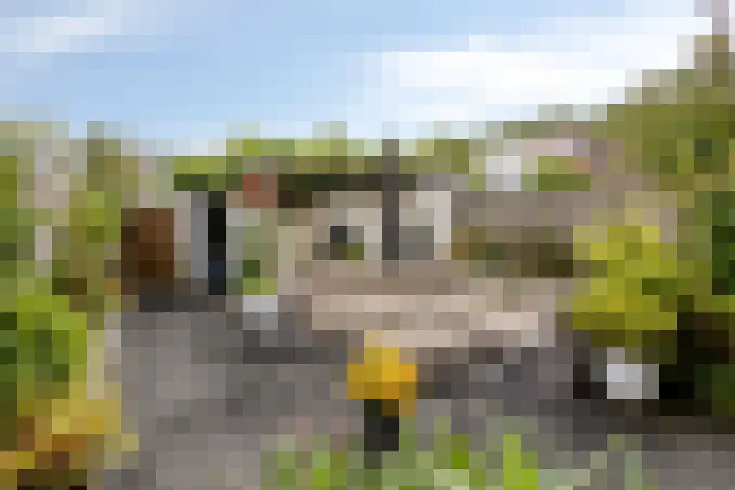 Rode Klaver 3 Uithoorn thumbnail 23