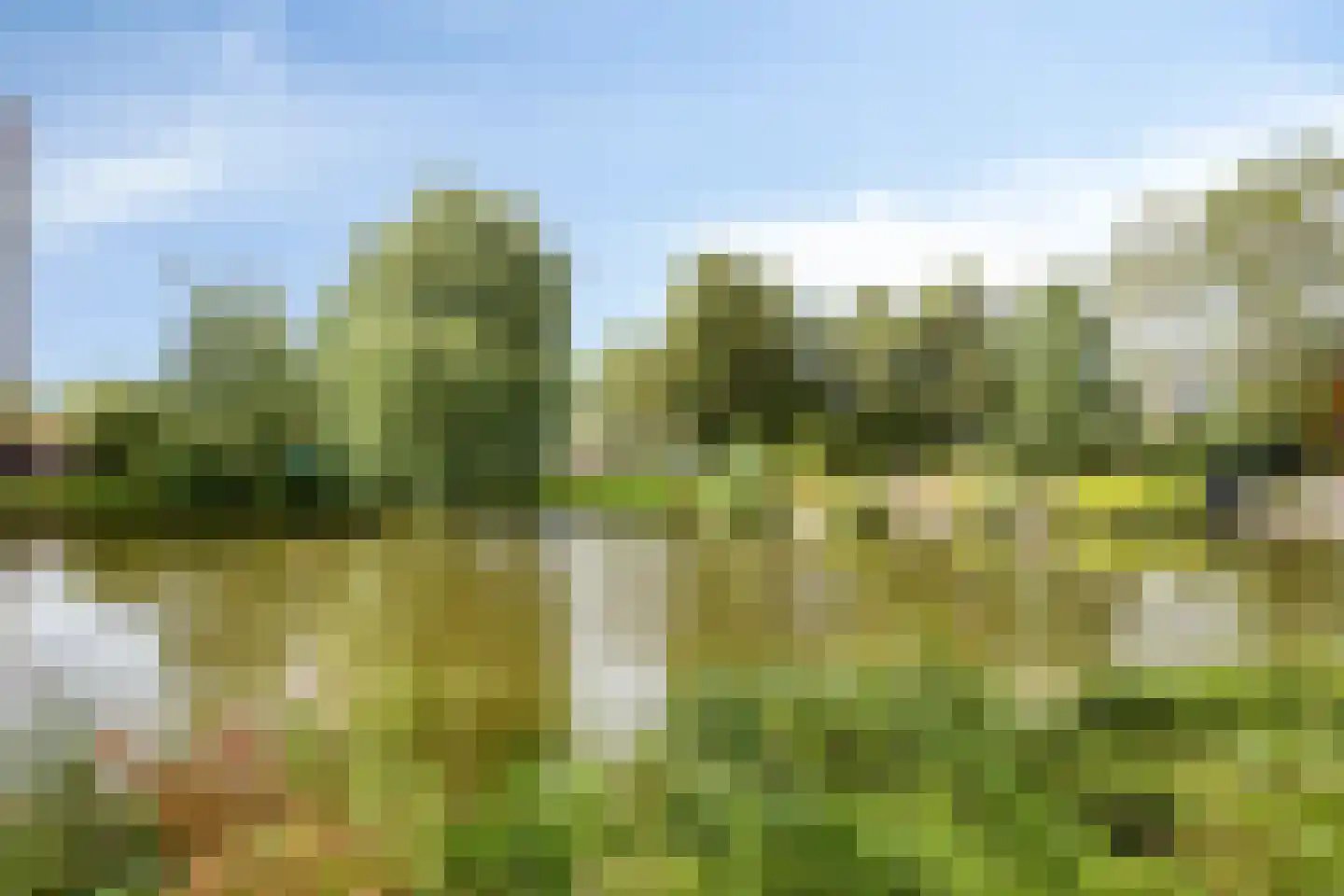 Rode Klaver 3 Uithoorn thumbnail 27