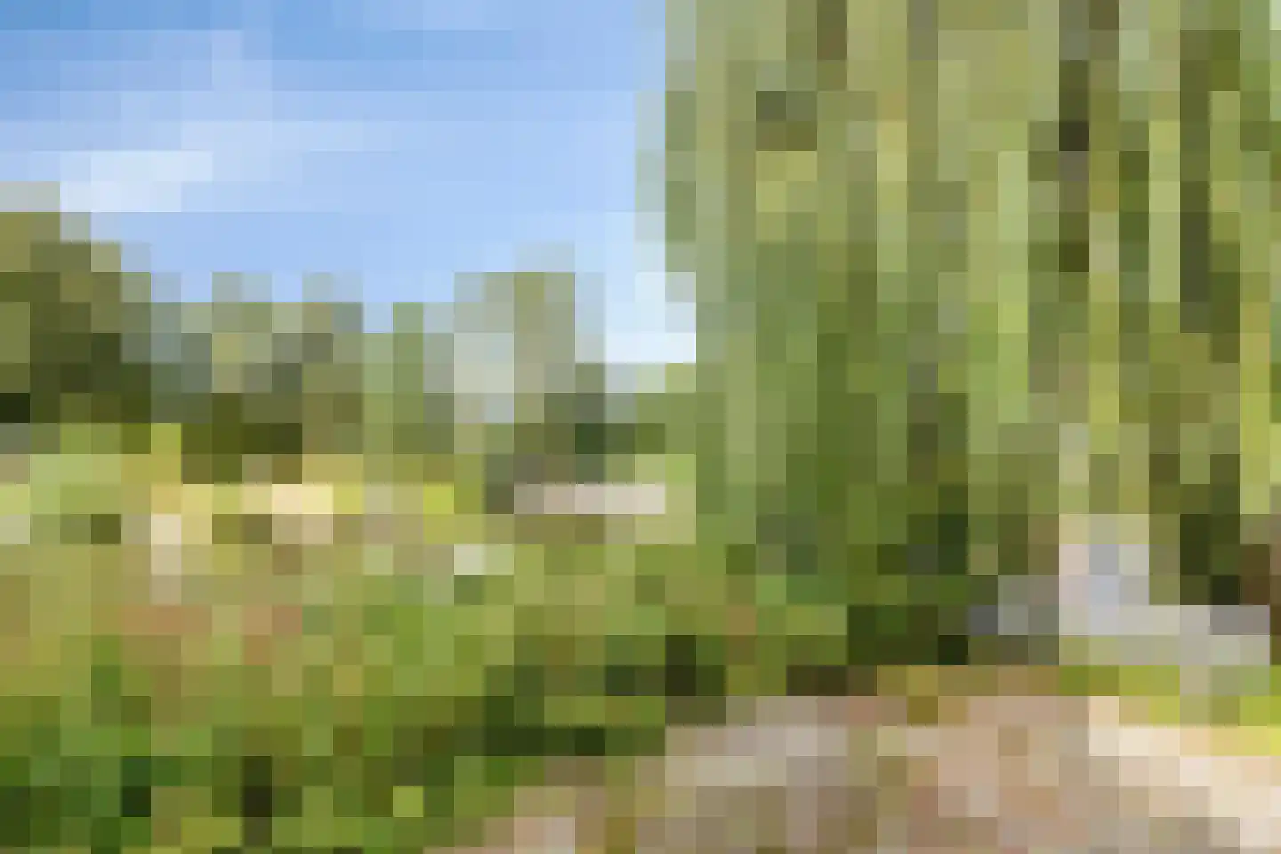 Rode Klaver 3 Uithoorn thumbnail 28
