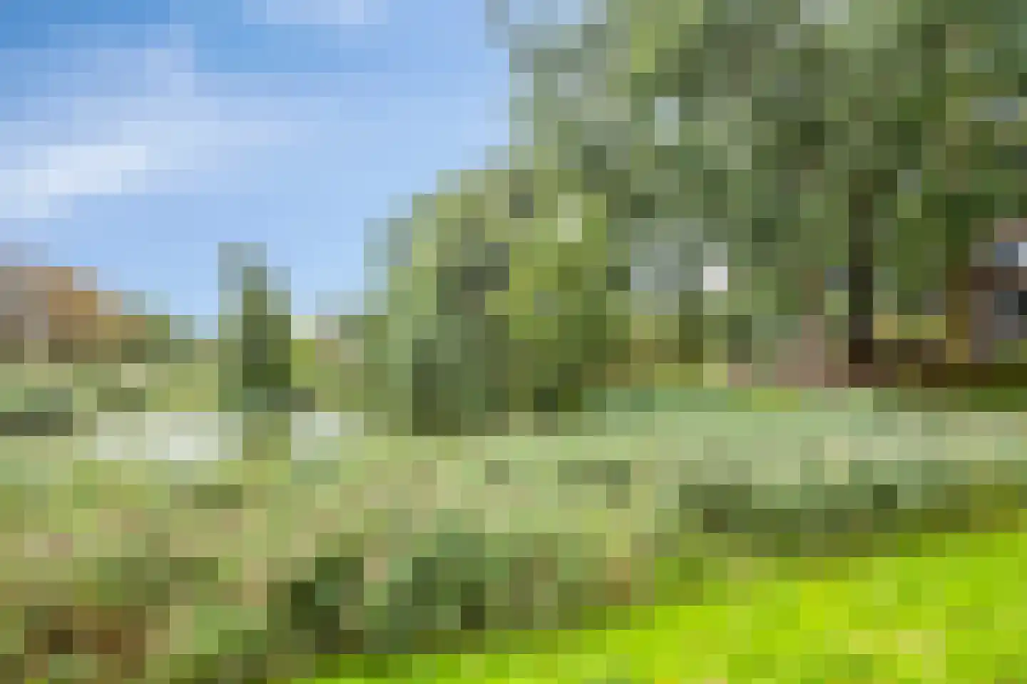 Rode Klaver 3 Uithoorn thumbnail 30