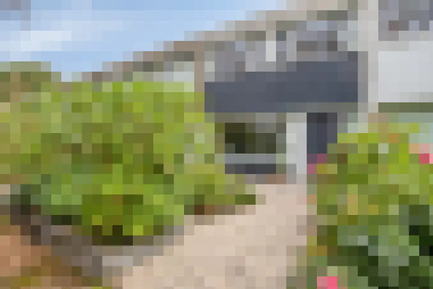 Rode Klaver 3 Uithoorn thumbnail 31