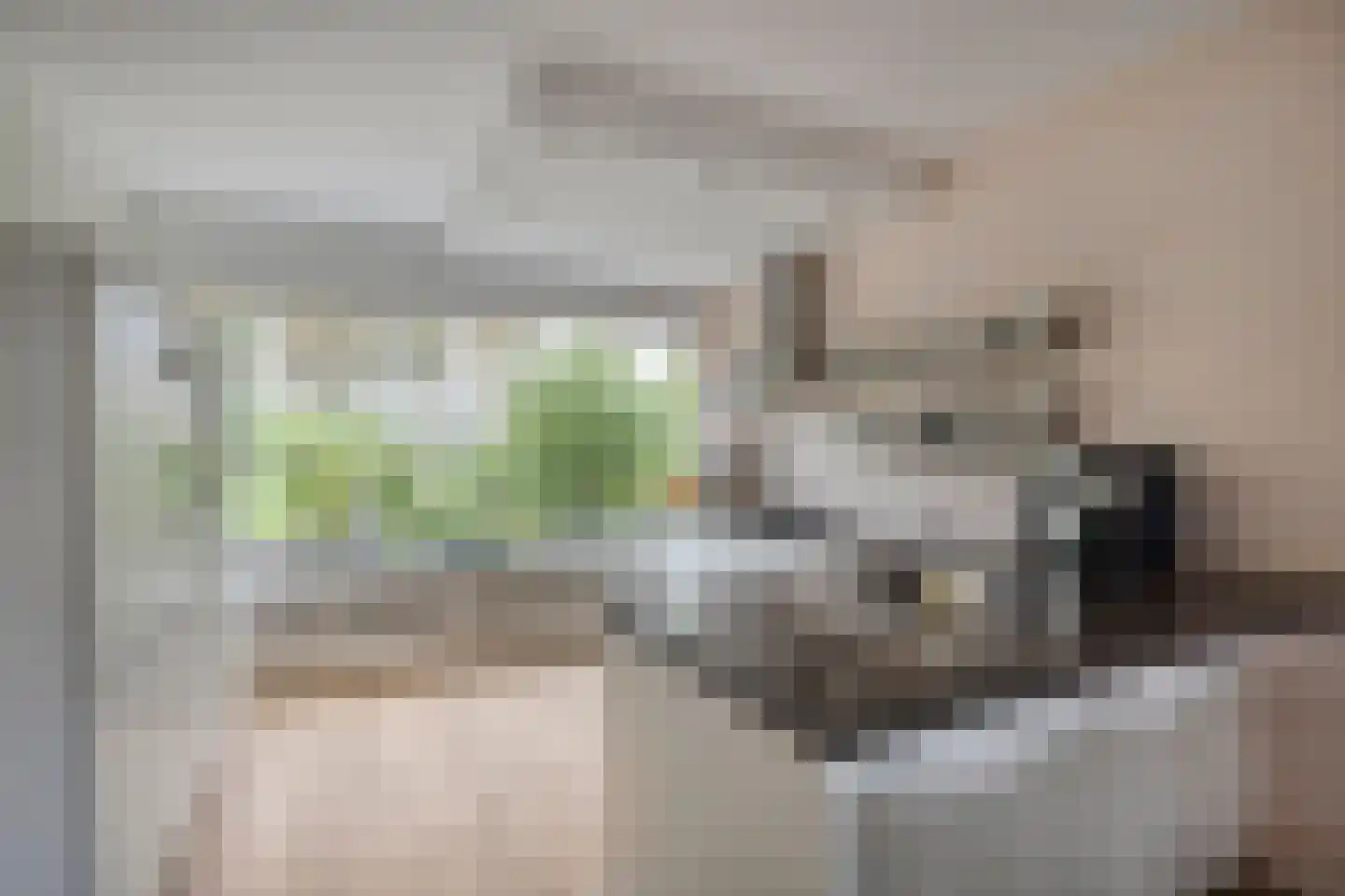 Rode Klaver 3 Uithoorn thumbnail 4